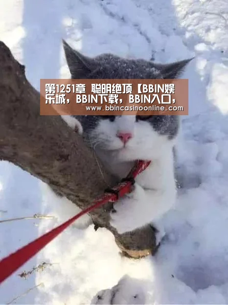 BBIN娱乐城，BBIN下载，BBIN入口，BBIN体育